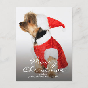 Porträtt i Yorkshire Terrier Wearing Santa Hat Helg Vykort