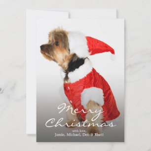 Porträtt i Yorkshire Terrier Wearing Santa Hat Julkort