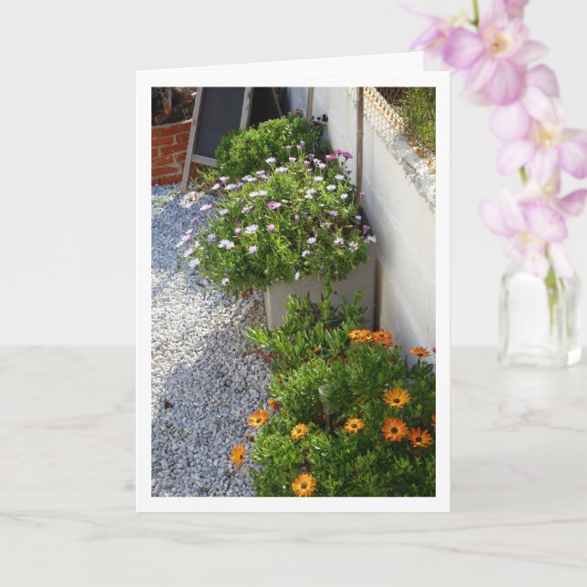 Porträtt-kort för afrikanska Daisy Kort (Orkide)