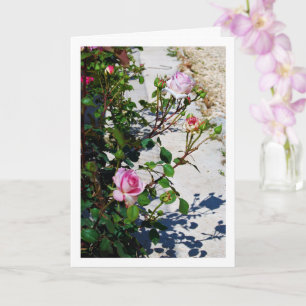 Porträtt med rosa rosor kort