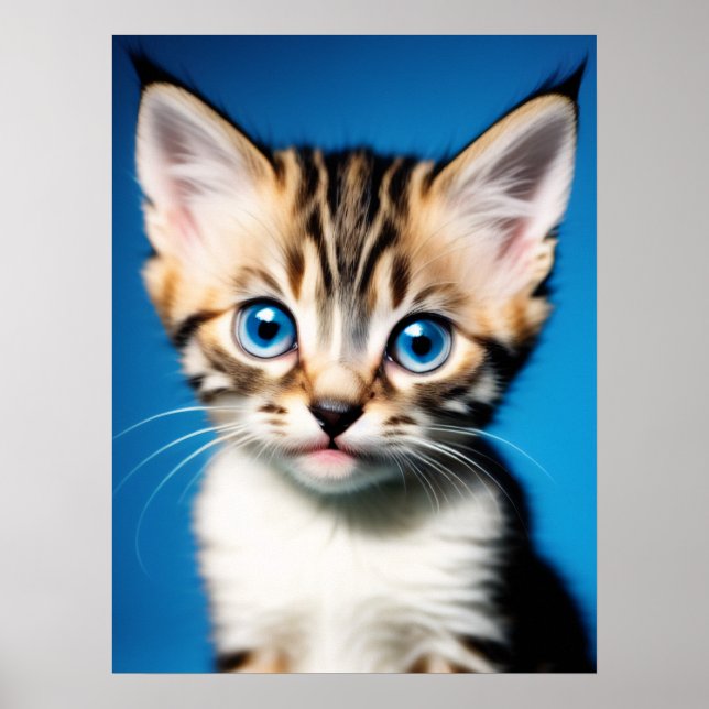 Porträtt med vackra Blå Ögon Poster (Framsidan)