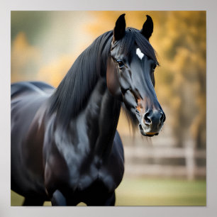 Porträtt nära en Black Horse Poster