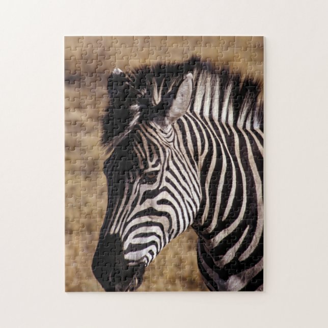 Porträtt nära Zebra - Zimbabwe, Afrikan Pussel (Vertikal)