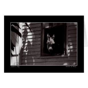 Porträtt of Molly Hälsningskort