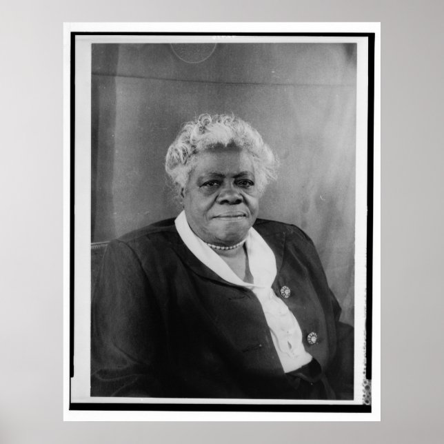 Porträtt till Mary McLeod Bethune Poster (Framsidan)
