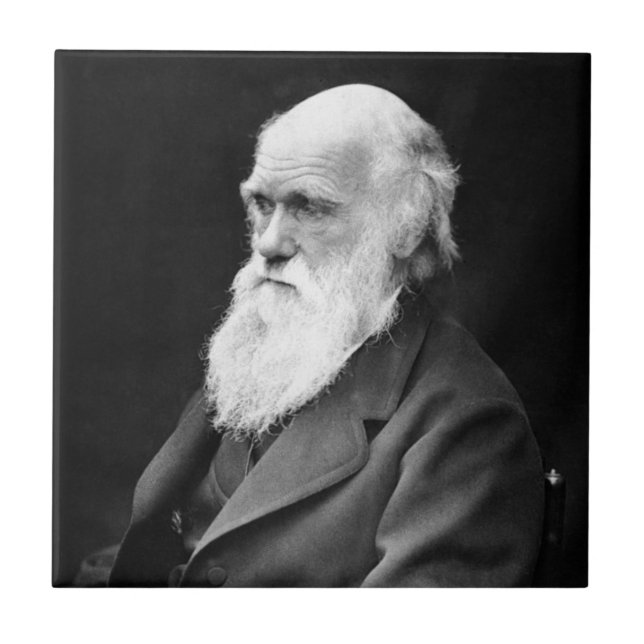 Porträttfoto av Charles Darwin Kakelplatta (Framsidan)