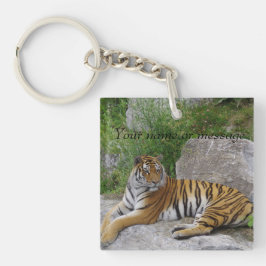 Porträttfoto av en sibirisk tiger
