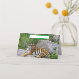 Porträttfoto av en sibirisk tiger placeringskort