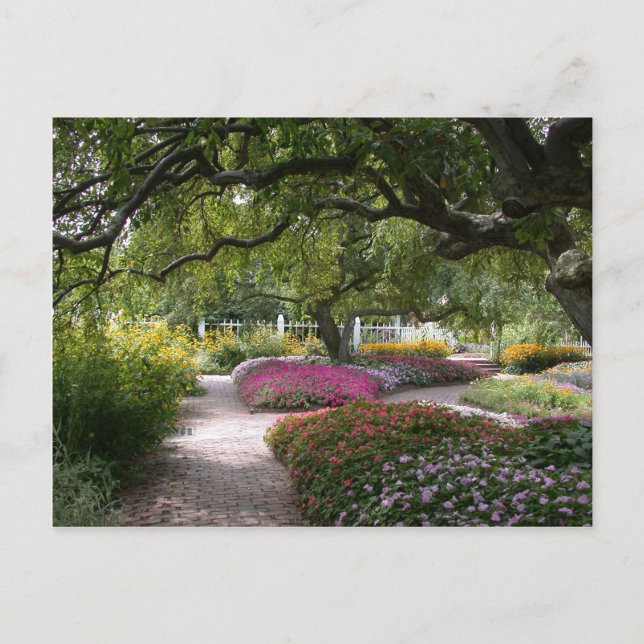 Portsmouth Garden Vykort (Framsida)