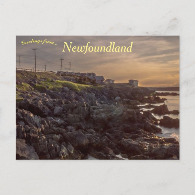 Portugal Cove Newfoundland Kanada Vykort (Framsida)