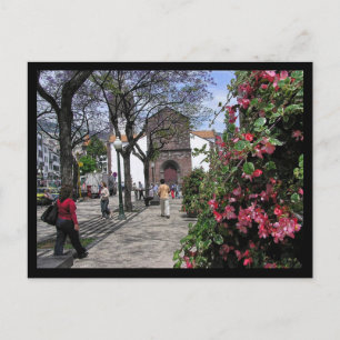 (Portugal) Funchal, Madeira Postcard Vykort