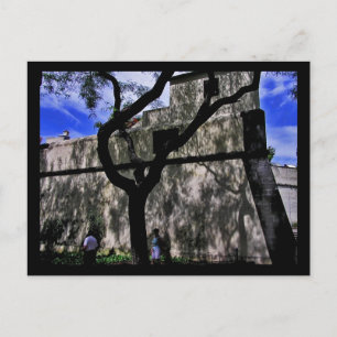 (Portugal) Funchal, Madeira Postcard Vykort