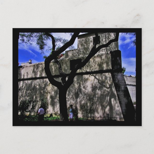 (Portugal) Funchal, Madeira Postcard Vykort (Framsida)