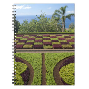 Portugal, Madeira, Funchal. botaniskt Anteckningsbok