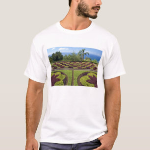 Portugal, Madeira Island, Funchal. Botanisk Tee
