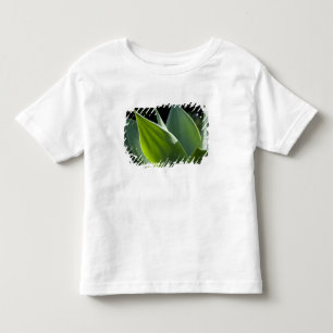 Portugal, Madeira Island, Funchal. Botanisk Tee Shirt