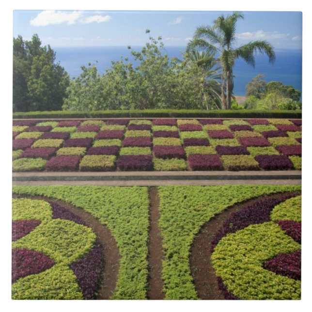 Portugal, Madeiraön, Funchal. Botanisk Kakelplatta (Framsidan)