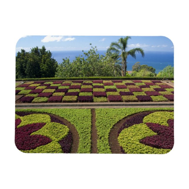 Portugal, Madeiraön, Funchal. Botanisk Magnet (Horisontell)