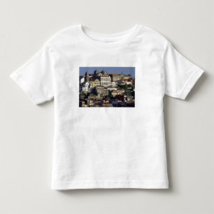 Portugal, Oporto (Porto). Historiska hus och T Shirt