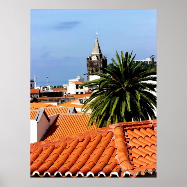 (PORTUGAL) Terracotta RoOfops Poster (Framsidan)