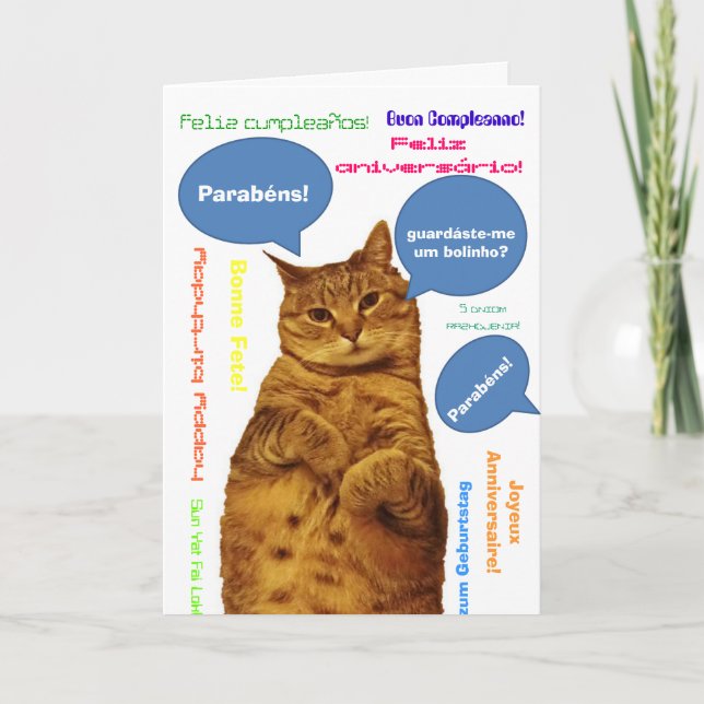 Portugis: Parabens! enfaldig katt Kort (Framsida)