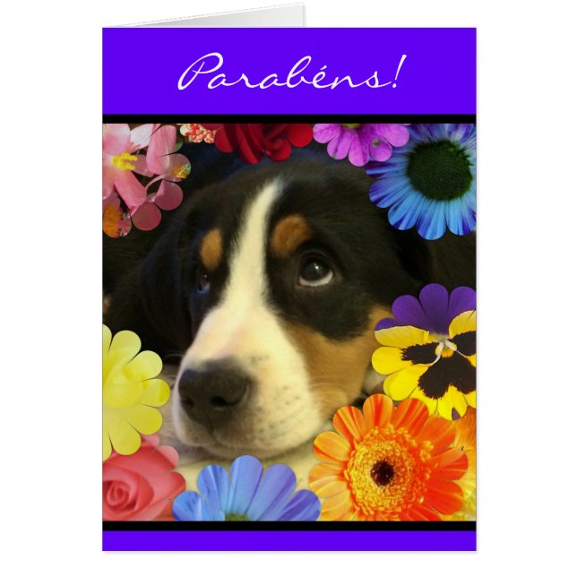 Portugis: Parabenscachorrinho Hälsningskort (Framsidan)