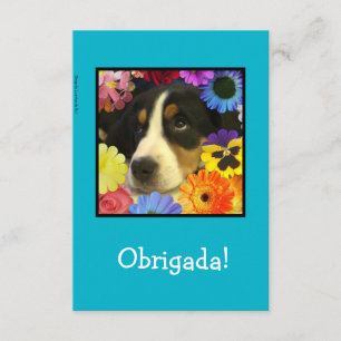 Portugis: Tacka dig att card/Obrigada! Tack Kort
