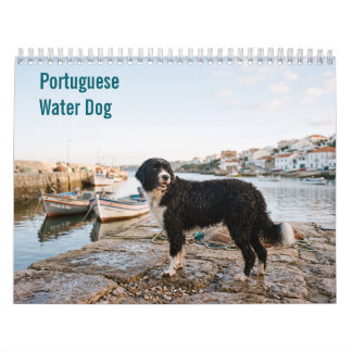 Portugisisk Vattenhund 2027 Väggkalender Kalender