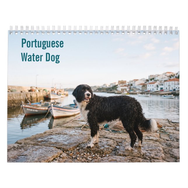 Portugisisk Vattenhund 2027 Väggkalender Kalender (Omslag)