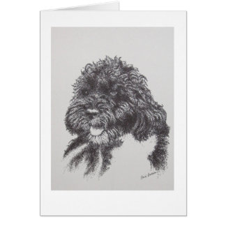 Portugisisk vattenhund Bo Obama OBS Kort