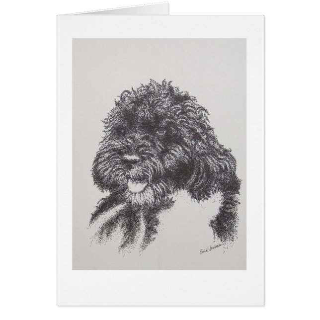 Portugisisk vattenhund Bo Obama OBS Kort (Framsidan)