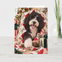Portugisisk Vattenhund Julkort