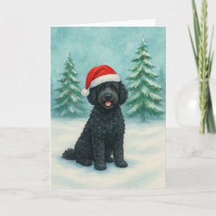 Portugisisk Vattenhund Kort