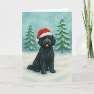 Portugisisk Vattenhund Kort