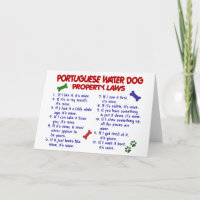 PORTUGISISKA Egendom-lagarna VATTEN HUND 2