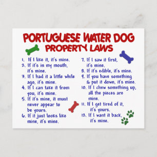 PORTUGISISKA Egendom-lagarna VATTEN HUND 2 Vykort