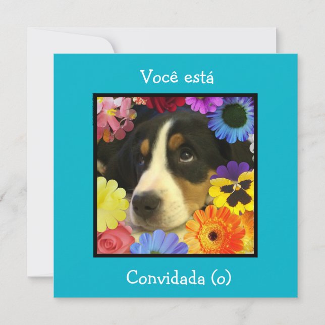 Portugisiska: inbjudan till tävling/födelsedag (Framsida)
