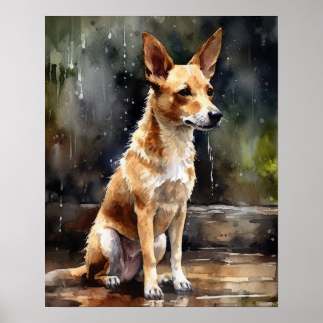Portugisiska Podengo Hund Art Print Poster (Framsidan)