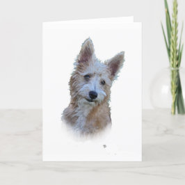 Portugisiska Podengo Kort