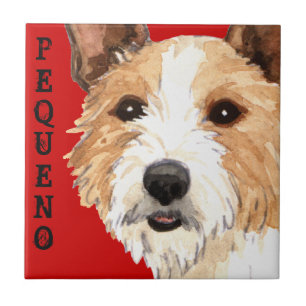 Portugisiska Podengo Pequeno Kakelplatta