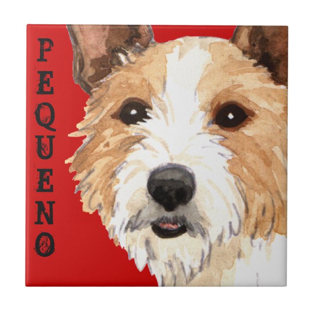 Portugisiska Podengo Pequeno Kakelplatta (Framsidan)