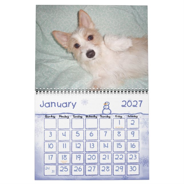 Portugisiska Podengo Pequeno-kalender Kalender (Jan 2027)