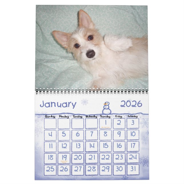 Portugisiska Podengo Pequeno-kalender Kalender (Jan 2026)