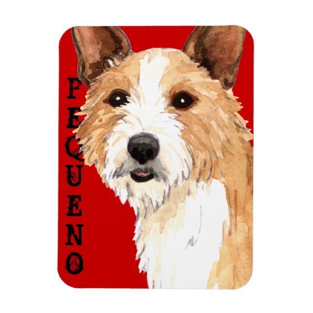 Portugisiska Podengo Pequeno Magnet (Vertikal)