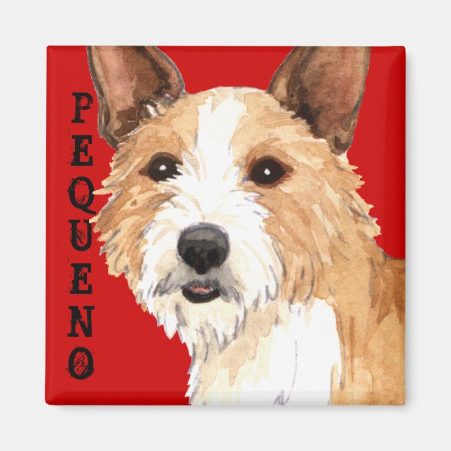 Portugisiska Podengo Pequeno Magnet (Framsidan)
