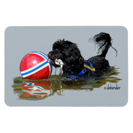 Portugisiska Vatten Hund 2 med Buoy Boll Magnet