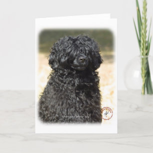 Portugisiska Vatten Hund 9R016D-151 Kort