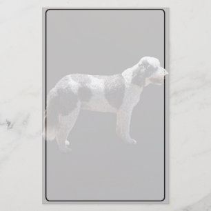 Portugisiska Vatten Hund Brevpapper