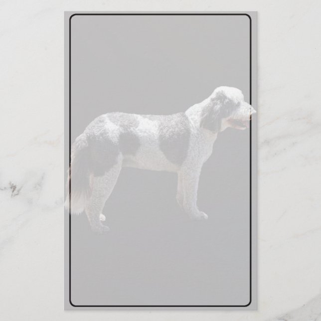 Portugisiska Vatten Hund Brevpapper (Framsida)