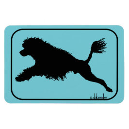 Portugisiska Vatten Hund Diving Magnet